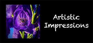 Artistic Impressions